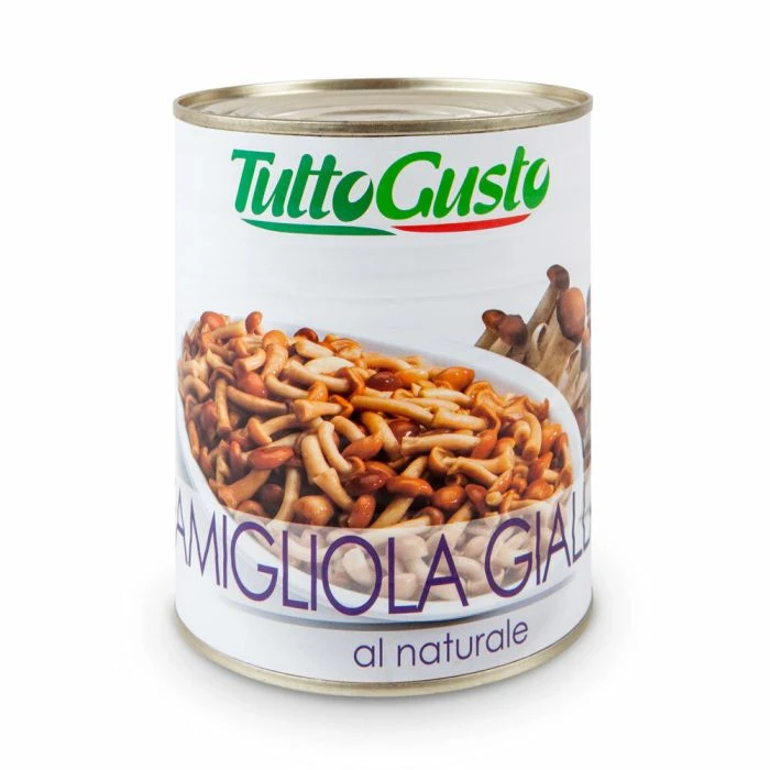 Famigliola Gialla - scaly mushrooms main product photo